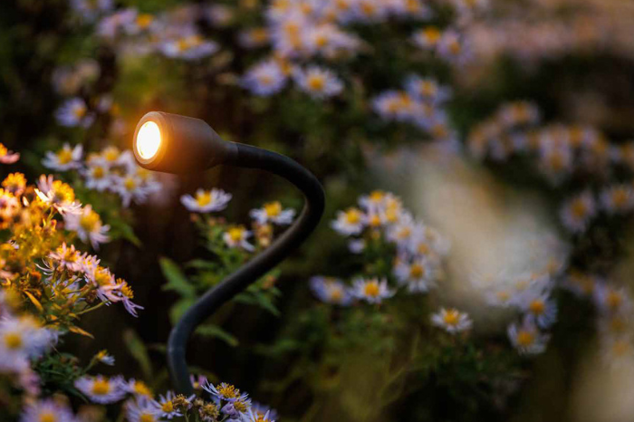 Licht im Garten